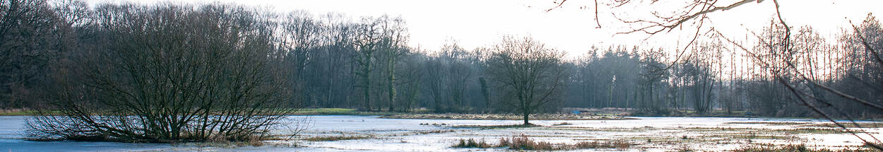 Uitzicht over winters veld bij landgoed 't Medler.