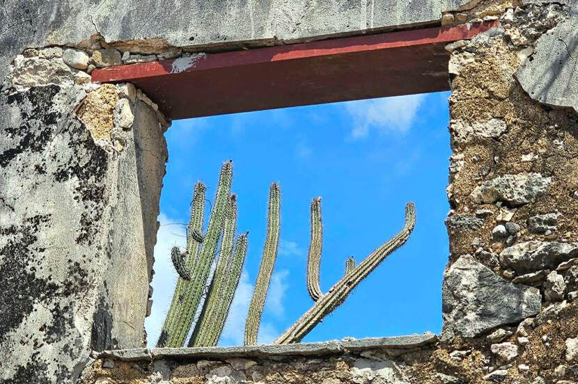 Doorkijkje met een raam met een nieuw latei met op de achtergrond een blauwe lucht en cactussen.