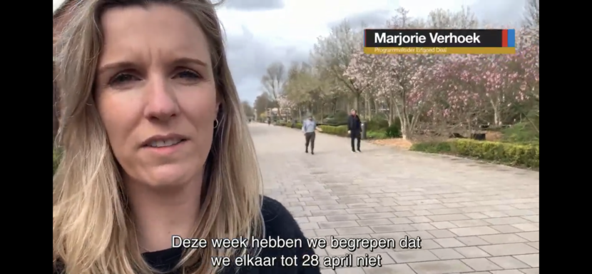 Majorie Verhoek (videostill)